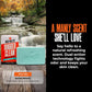 Rugged Clean Variety Pack Skin & Body Wild Willies 